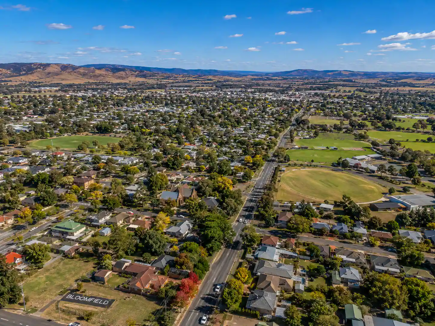 Bloomfield